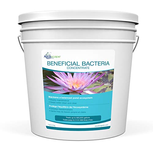 Aquascape Dry Beneficial Bacteria for Pond and Water Fe...