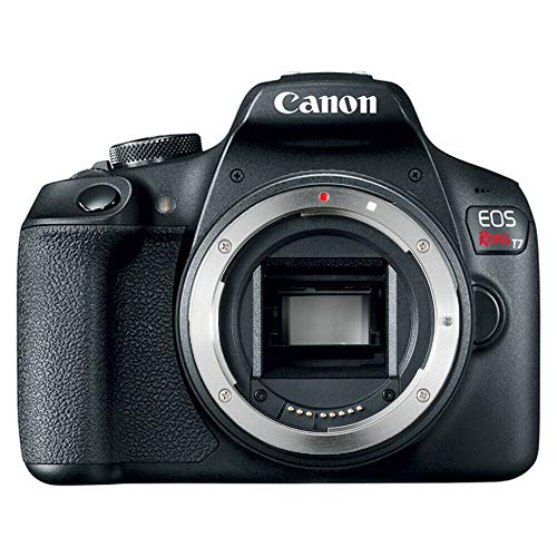 Canon Только корпус цифровой зеркальной фотокамеры EOS Rebel T7 (коробка с комплектом)