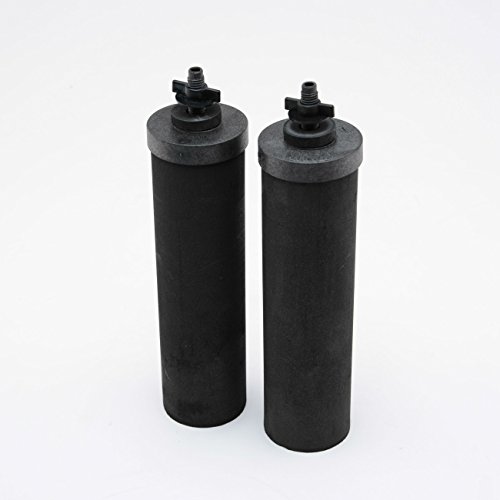 Berkey BB9-2 Сменные фильтрующие элементы для черной воды (2 фильтра)