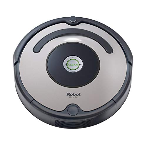  iRobot 