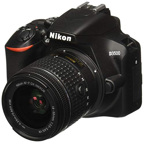 Nikon D3500 W / AF-P DX NIKKOR 18-55mm f / 3.5-5.6G VR Черный