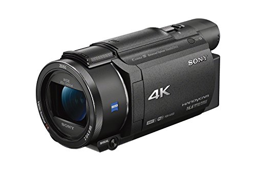 Sony Видеокамера FDRAX53/B 4K HD для записи видео (черная)