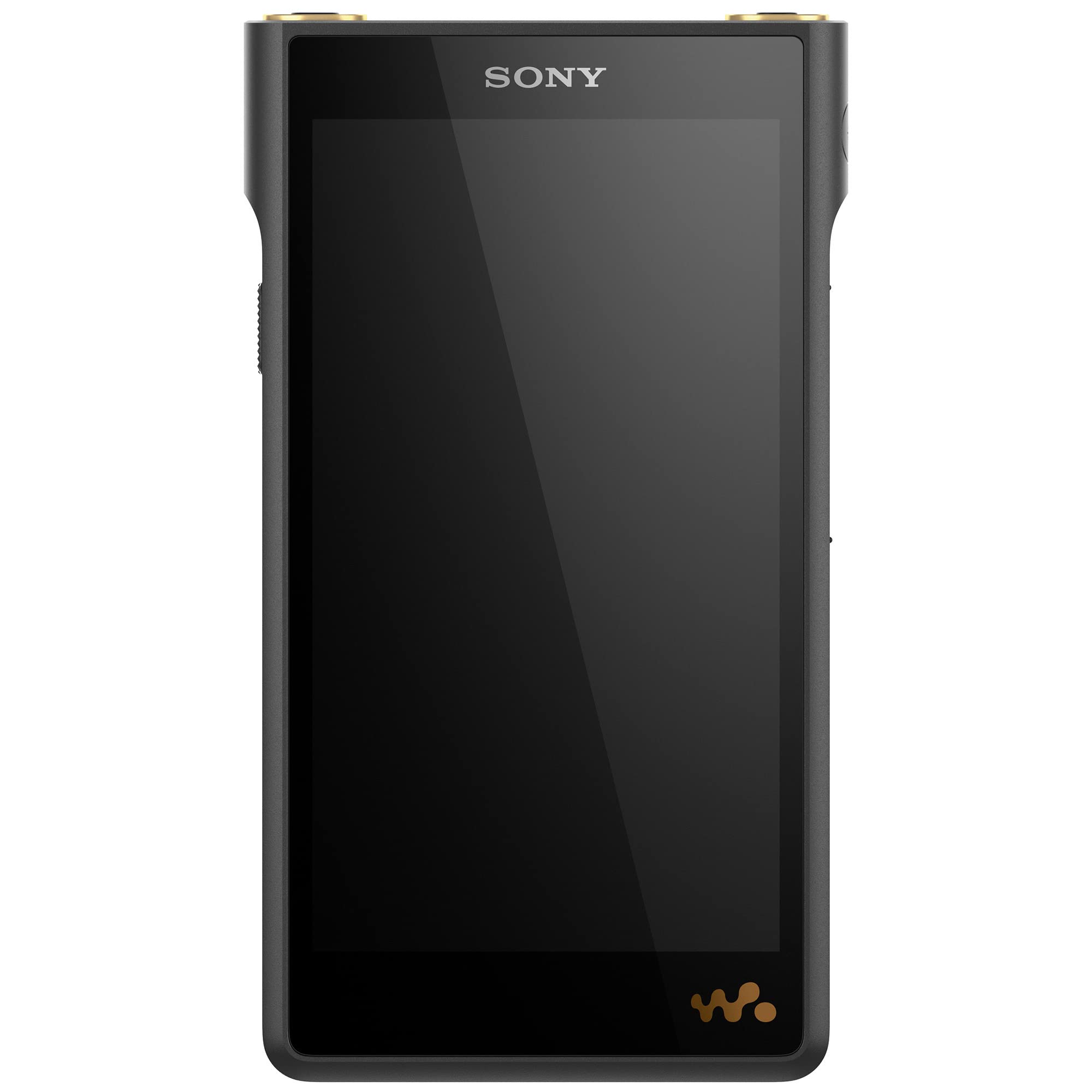 Sony NW-WM1AM2 Hi-Res 128GB Walkman Digital MP3 Music P...