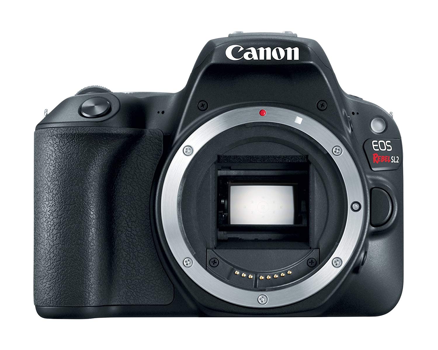 Canon Корпус цифровой зеркальной камеры EOS Rebel SL2 - Wi-Fi включен