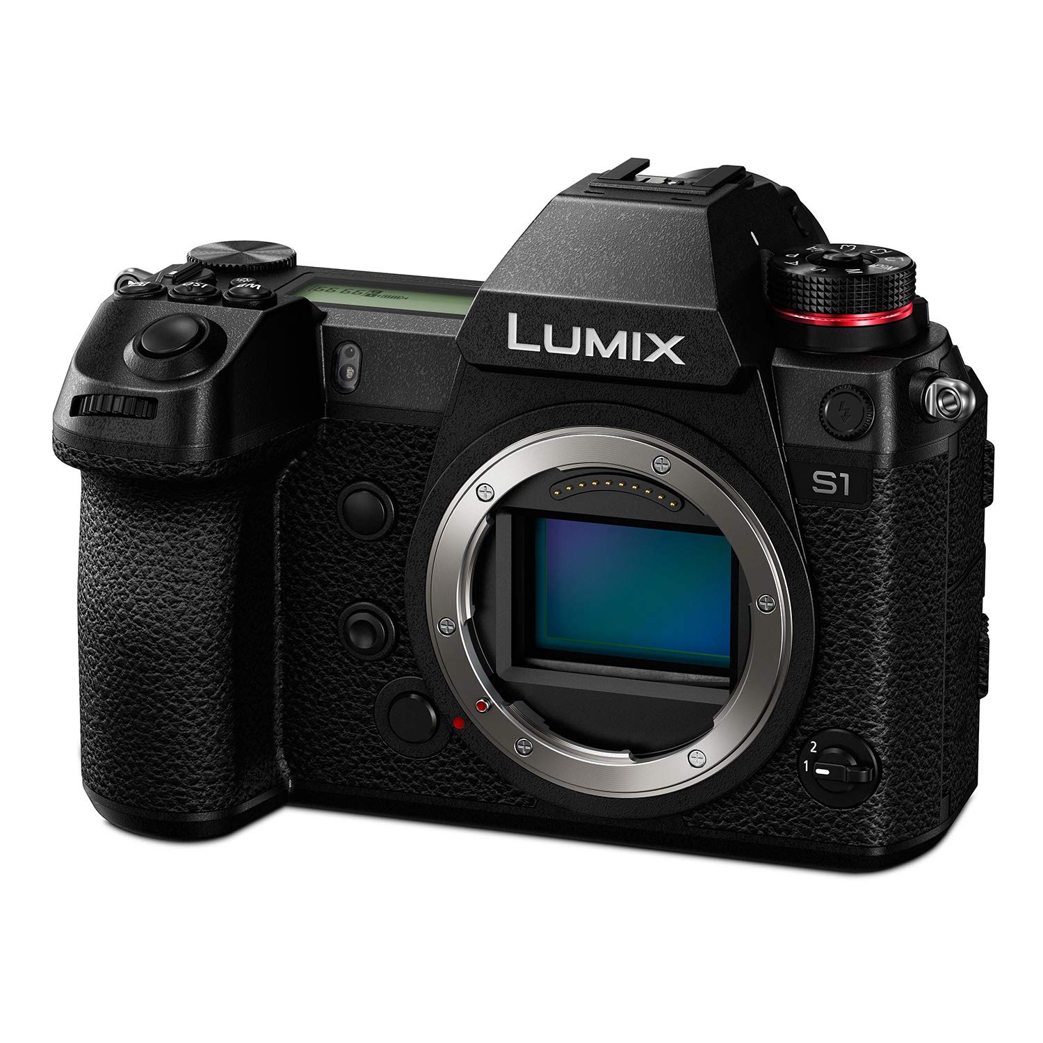 Panasonic Корпус беззеркальной цифровой камеры  LUMIX DC-S1
